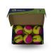 neo-pink-box