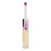 Rmax top quality Kashmir willow cricket bats are available online. Best and affordable Kashmir willow for boys and girls.