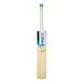 Best price Kashmir willow cricket bats range are available at Rmax. Best cricket bats and accessories at best price online marketplace.