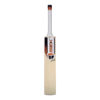 Best buy english willow cricket bats are available on our website. Online platforms where you can choose your favorite cricket bat are available.