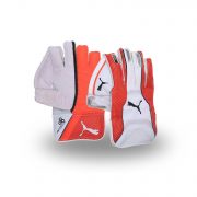 India best price wicket keeping gloves are available at rmax sports. Leather coated wicket keeping gloves are available at very minimal cost.