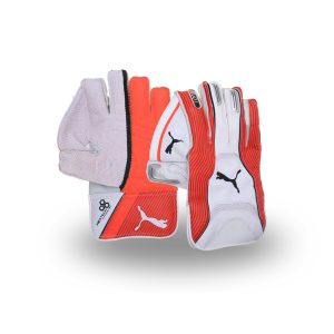 India best price wicket keeping gloves are available at rmax sports. Leather coated wicket keeping gloves are available at very minimal cost.