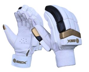 Buy best and affordable cricket batting and wicket keeping gloves on our marketplace. Best and lowest gloves are available on our website.